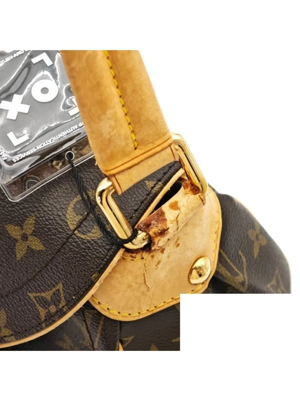Louis Vuitton brand louis